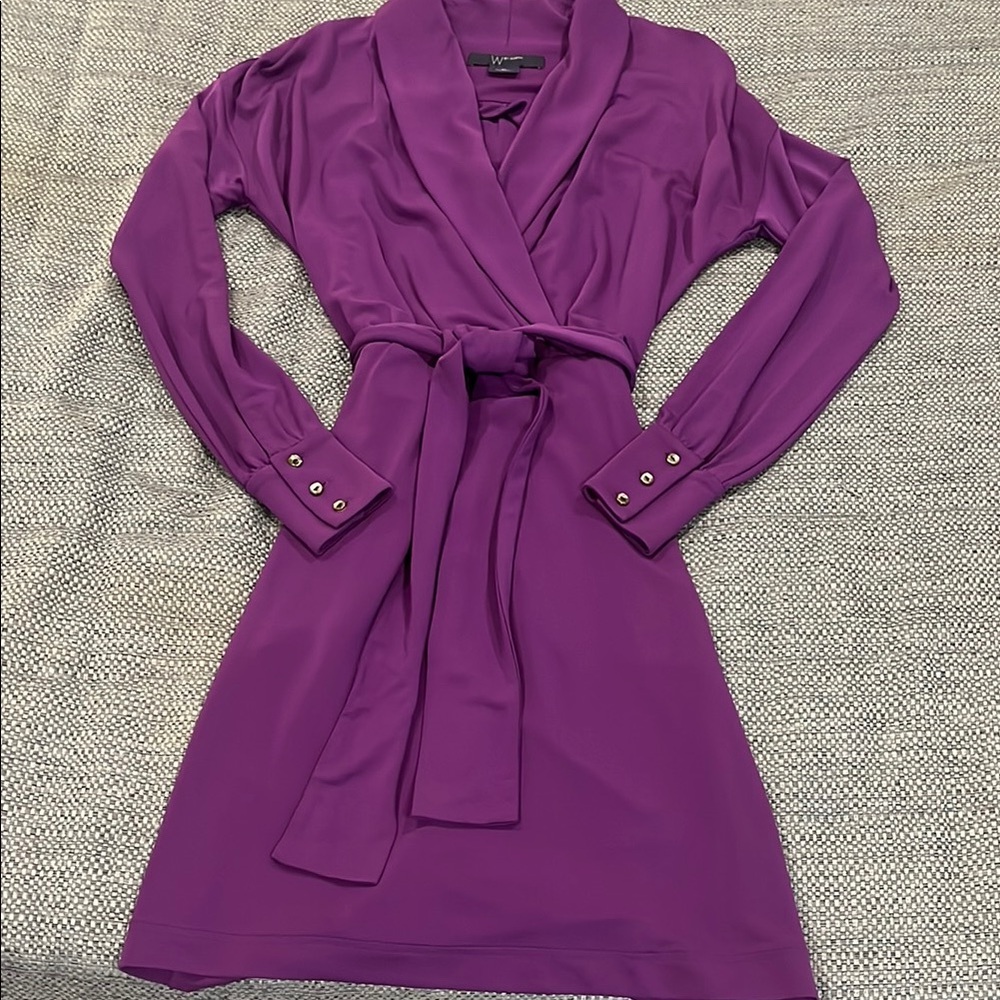 Worth Elegant Purple Dress